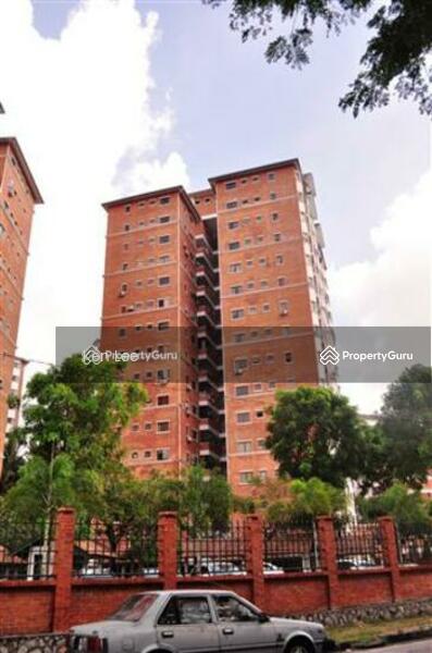 For Sale - Evergreen Park Scot Pine