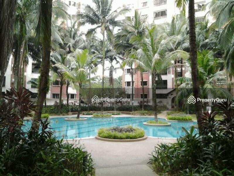 For Sale - Evergreen Park Scot Pine
