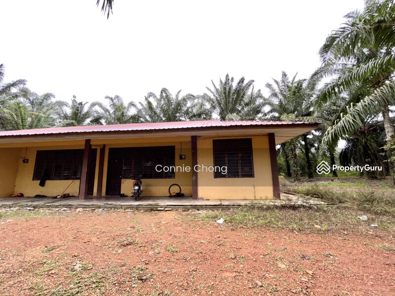 For Sale - SG NIPAH @ PORT DICKSON