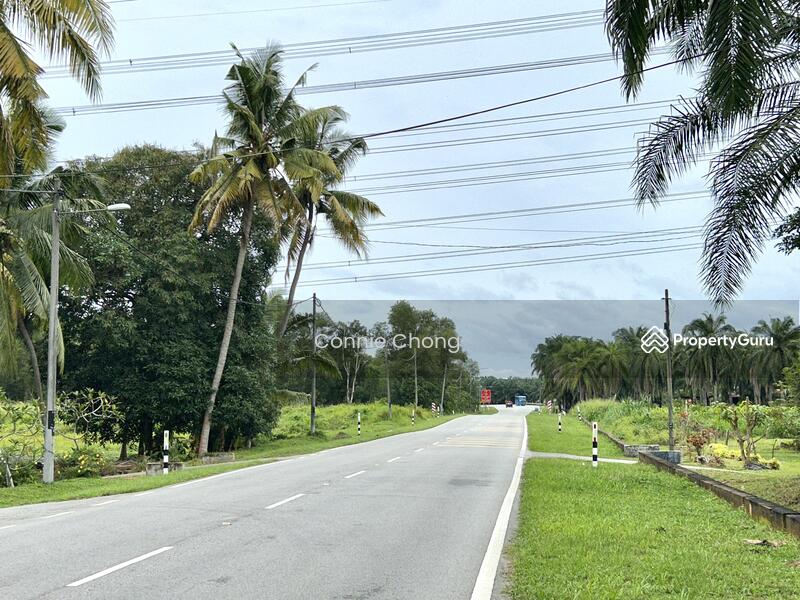 For Sale - SG NIPAH @ PORT DICKSON