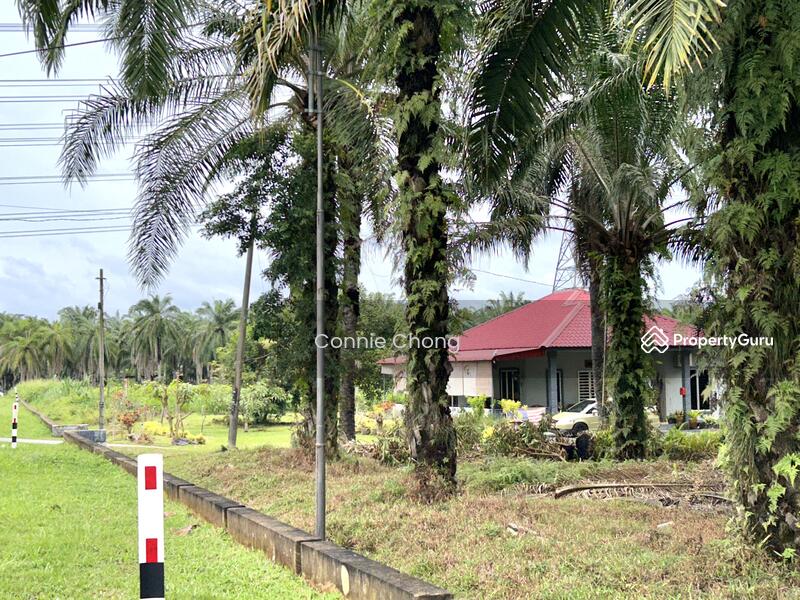 For Sale - SG NIPAH @ PORT DICKSON