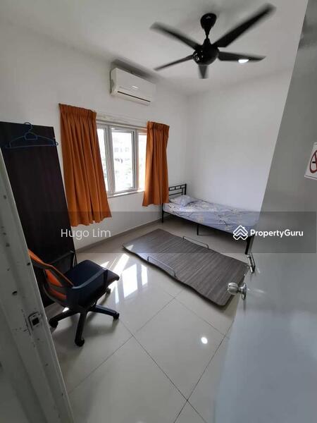 Untuk Dijual - Sri Begonia