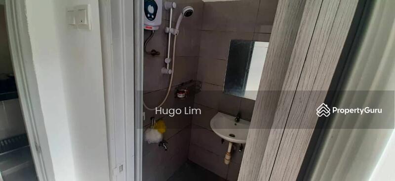 Untuk Dijual - Sri Begonia