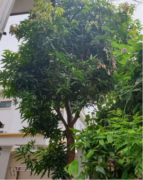For Sale - FOR SALE – GARDEN BUNGALOW @ SEKSYEN 13, SHAH ALAM