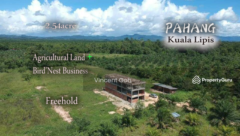 For Sale - Pahang Kuala Lipis 2.54acre Agricultural Land & Bird Nest House