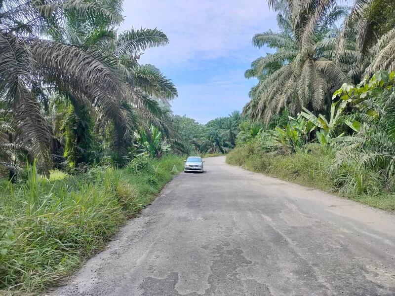 For Sale - Kulai Kulai kulais