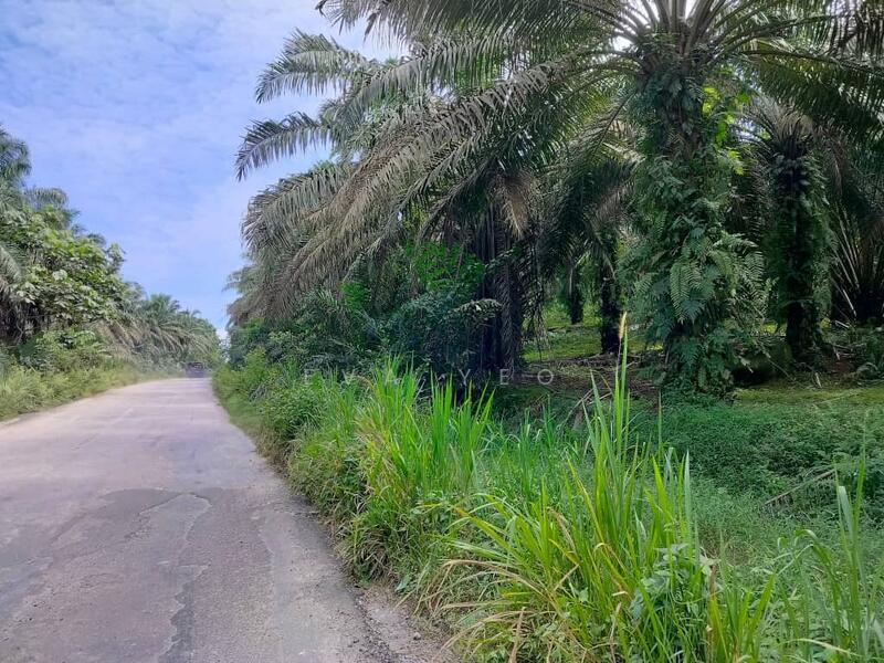 For Sale - Kulai Kulai kulais