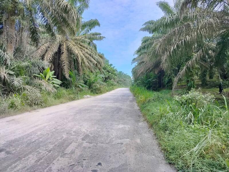 For Sale - Kulai Kulai kulais