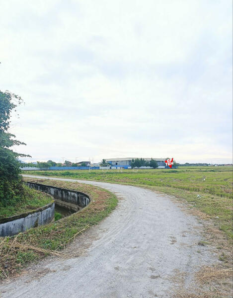 Agricultural Land for Sale in Permatang Nibong (Permatang Pauh) - Teh Guan Fong - PropertyGuru.com.my