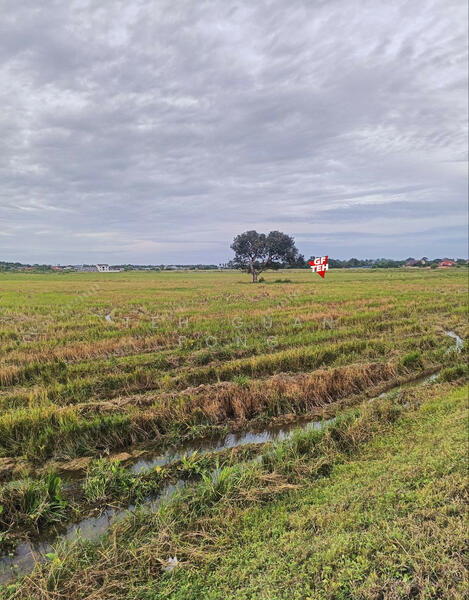 Agricultural Land for Sale in Permatang Nibong (Permatang Pauh) - Teh Guan Fong - PropertyGuru.com.my