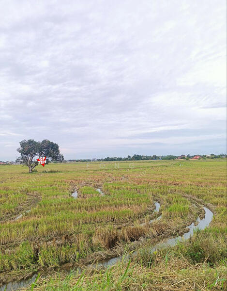 Agricultural Land for Sale in Permatang Nibong (Permatang Pauh) - Teh Guan Fong - PropertyGuru.com.my