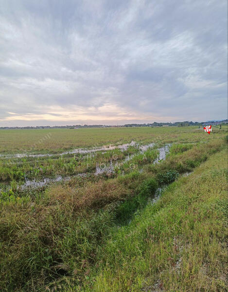 Agricultural Land for Sale in Permatang Nibong (Permatang Pauh) - Teh Guan Fong - PropertyGuru.com.my