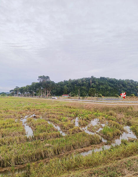 Agricultural Land for Sale in Permatang Nibong (Permatang Pauh) - Teh Guan Fong - PropertyGuru.com.my