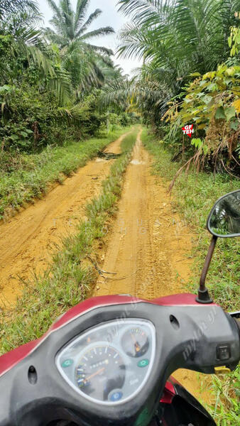 Agricultural Land for Sale in Taman Valdor (Sungai Bakap) - Teh Guan Fong - PropertyGuru.com.my