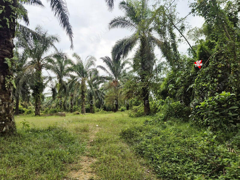 Agricultural Land for Sale in Taman Valdor (Sungai Bakap) - Teh Guan Fong - PropertyGuru.com.my