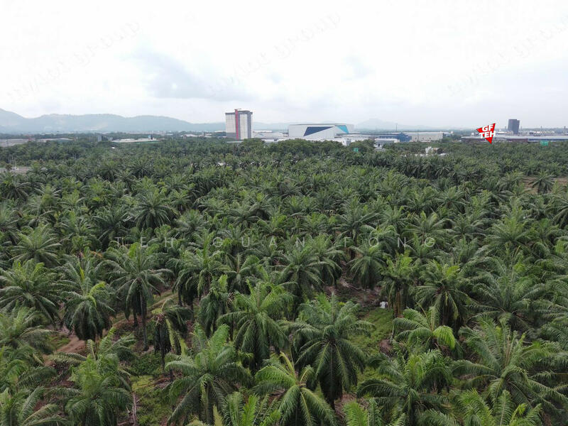 Tanah Perindustrian untuk Dijual di Sungai Bakap (Penang) - Teh Guan Fong - PropertyGuru.com.my