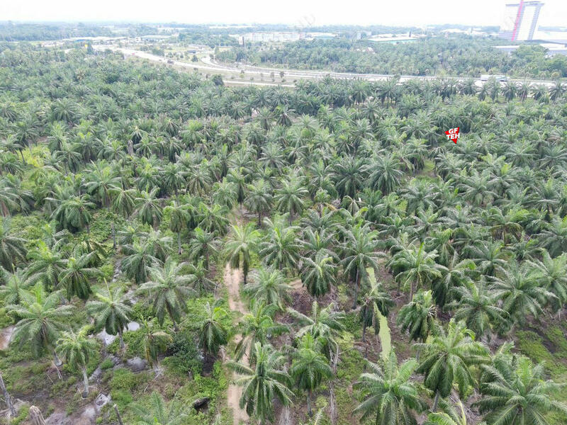 Tanah Perindustrian untuk Dijual di Sungai Bakap (Penang) - Teh Guan Fong - PropertyGuru.com.my