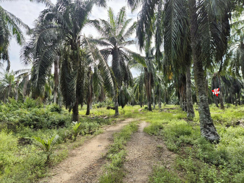 Tanah Perindustrian untuk Dijual di Sungai Bakap (Penang) - Teh Guan Fong - PropertyGuru.com.my