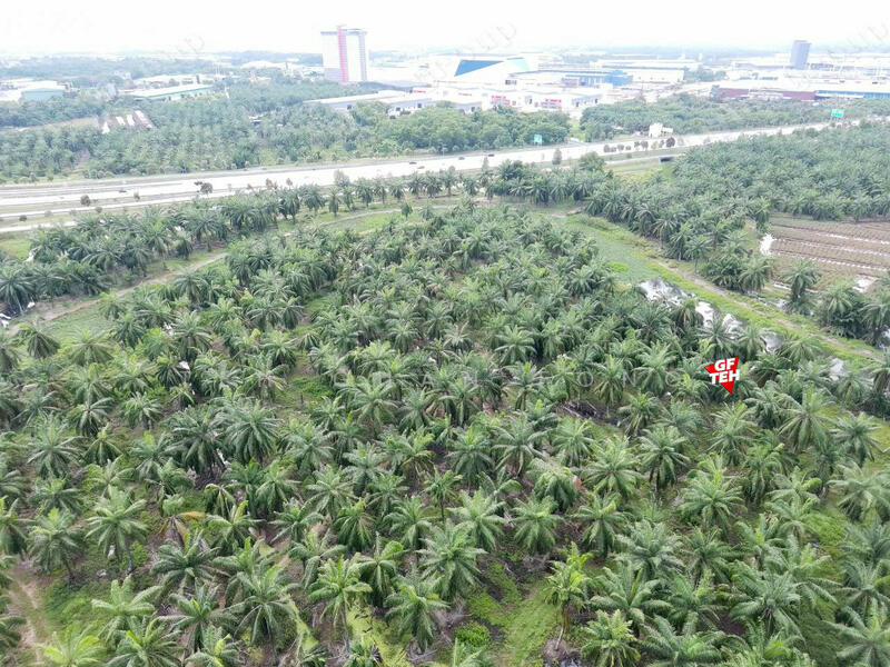 Tanah Perindustrian untuk Dijual di Sungai Bakap (Penang) - Teh Guan Fong - PropertyGuru.com.my