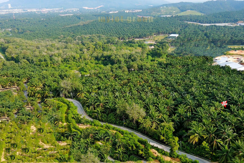Tanah Pertanian untuk Dijual di Machang Bubok (Bukit Mertajam) - Teh Guan Fong - PropertyGuru.com.my