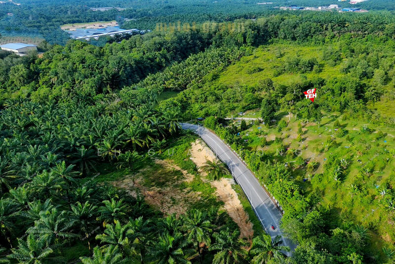 Tanah Pertanian untuk Dijual di Machang Bubok (Bukit Mertajam) - Teh Guan Fong - PropertyGuru.com.my