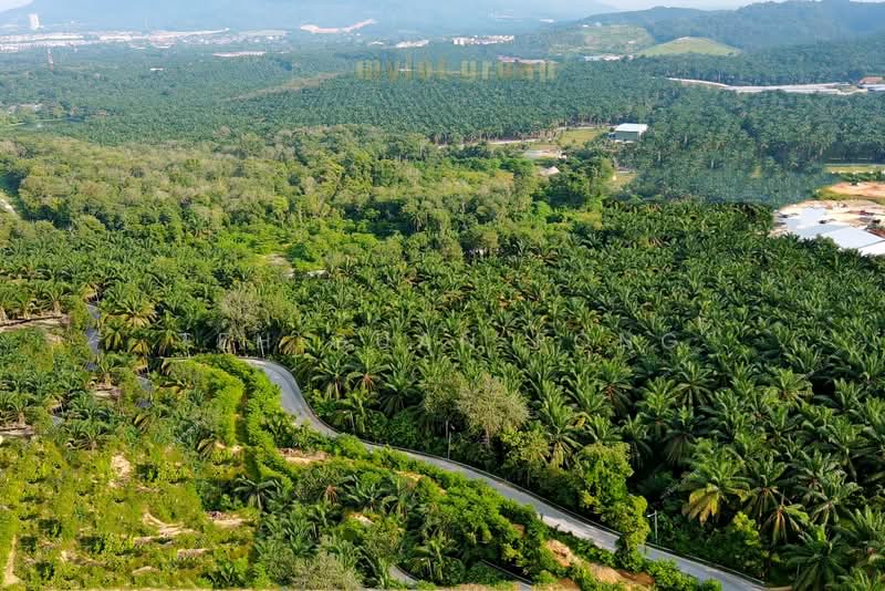 Agricultural Land for Sale in Machang Bubok (Bukit Mertajam) - Teh Guan Fong - Exterior - PropertyGuru.com.my