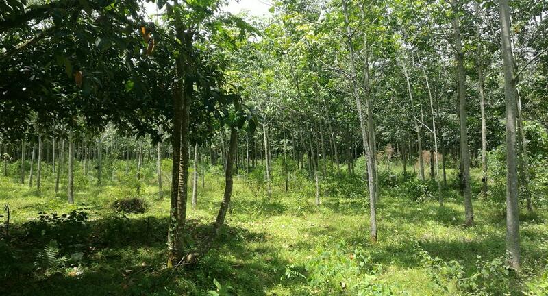 Untuk Dijual - Residential Land at Seremban City Centre