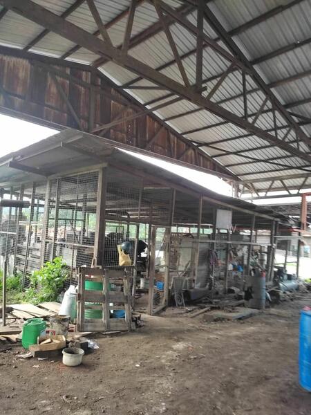 For Sale - Mersing Mersing Mersings