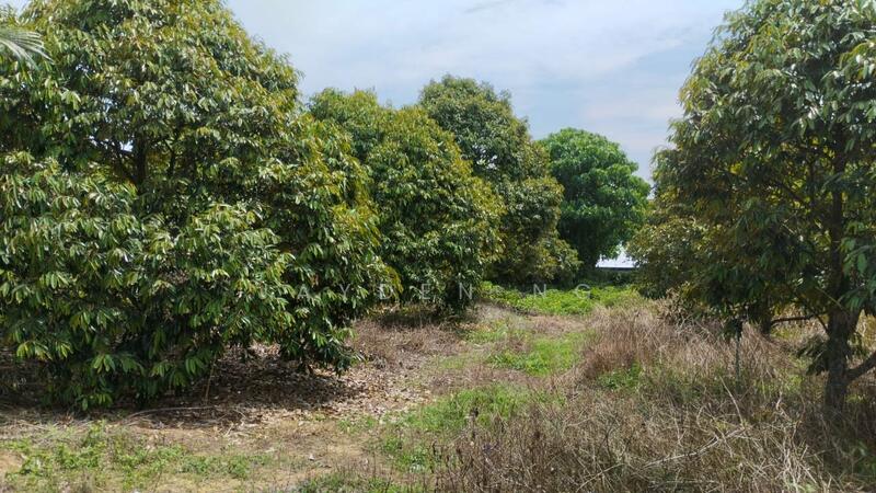 Untuk Dijual - Simpang Pertang Simpang Pertang Simpangs Pertangs