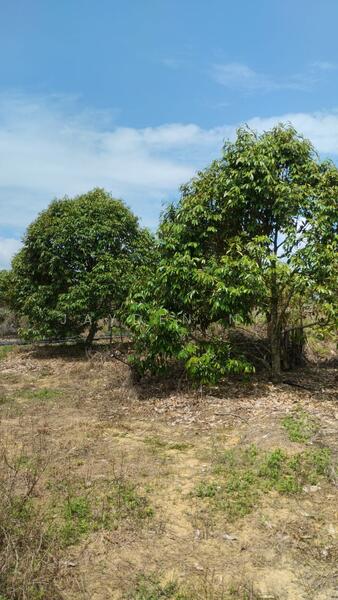 Untuk Dijual - Simpang Pertang Simpang Pertang Simpangs Pertangs