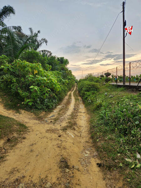 Tanah Pertanian untuk Dijual di Kampung Batu 28 (Bandar Baharu) - Teh Guan Fong - PropertyGuru.com.my