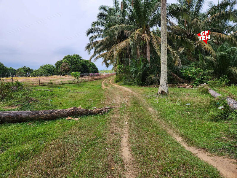 For Sale - 9.54 acres Agricultural land | Sungai Batu | Bandar Baharu | Kedah b