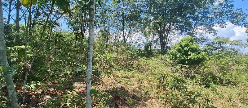 For Sale - Residential Land at Setia Ecohill