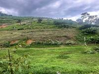 For Sale - Orchard Land WATER SUPPLY INVESTMENT near Semoa Farm Tras Raub Pahang