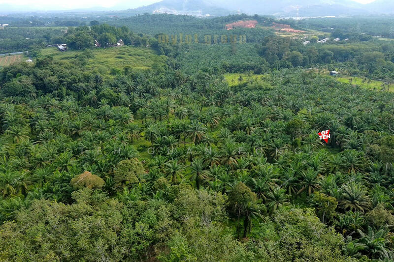 Agricultural Land for Sale in Valdor (Sungai Jawi) - Teh Guan Fong - PropertyGuru.com.my