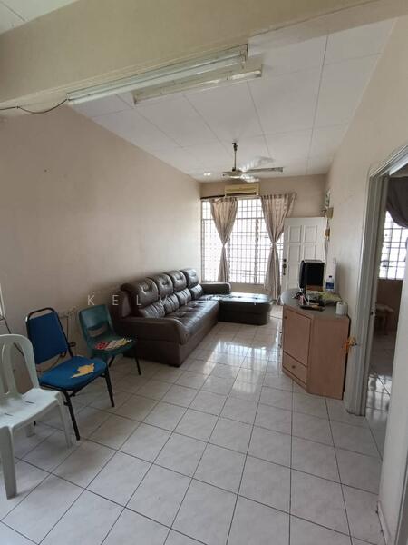 For Sale - tunas muda
