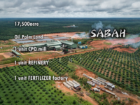 For Sale - Sabah 17,500acre Oil Palm Land