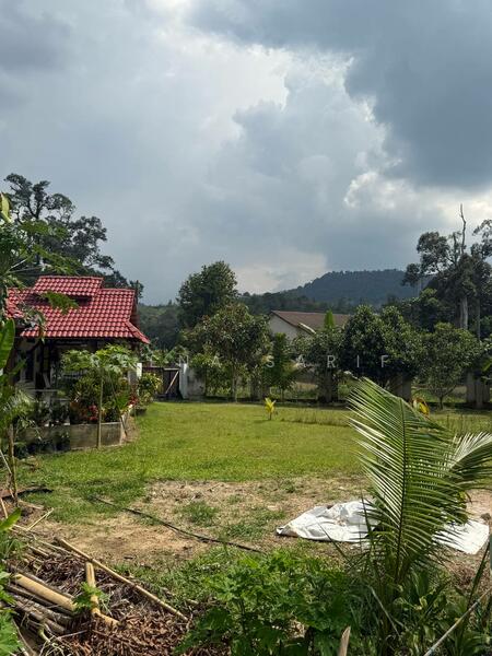 Untuk Dijual - Agriculture Land Sungai Lui Hulu Langat