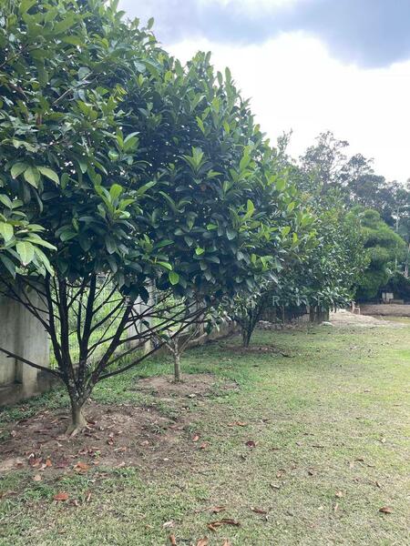 Untuk Dijual - Agriculture Land Sungai Lui Hulu Langat