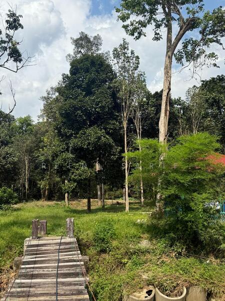 Untuk Dijual - Agriculture Land Sungai Lui Hulu Langat