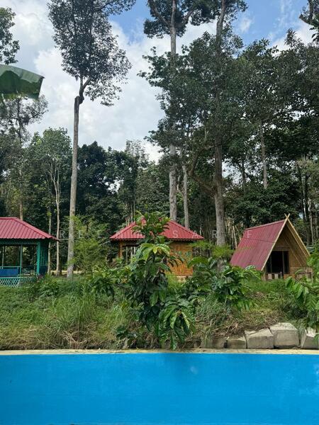 Untuk Dijual - Agriculture Land Sungai Lui Hulu Langat