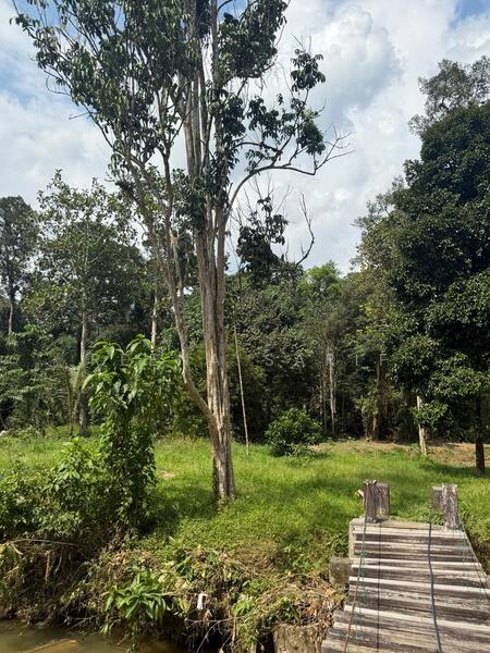 Untuk Dijual - Agriculture Land Sungai Lui Hulu Langat
