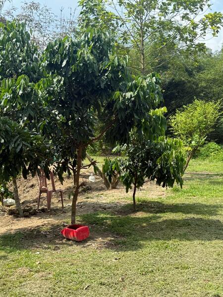 Untuk Dijual - Agriculture Land Sungai Lui Hulu Langat