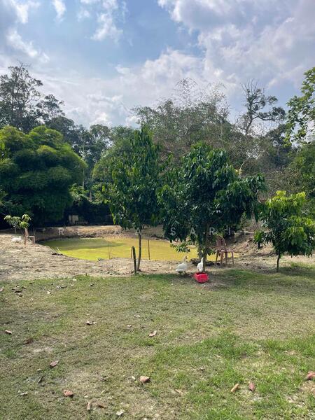 Untuk Dijual - Agriculture Land Sungai Lui Hulu Langat