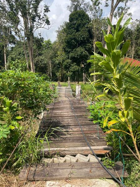 Untuk Dijual - Agriculture Land Sungai Lui Hulu Langat