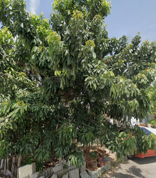 For Sale - Below Market Value; 1 Sty Mid Terrace @ Taman Sentosa, Klang