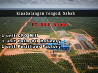For Sale - Sabah 17,500acre Oil Palm Land