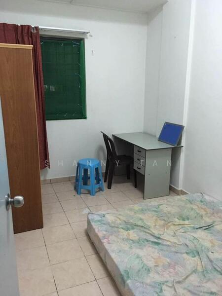 For Sale - Evergreen Park Acorn & Hazel