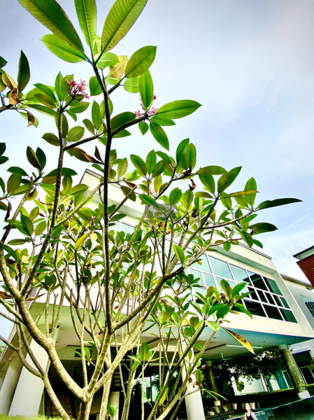 For Sale - Permai Garden