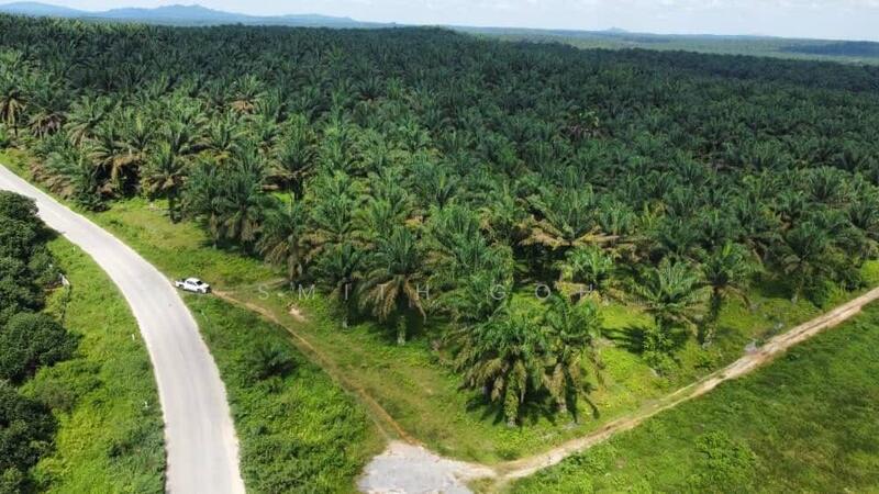 For Sale - Kluang @ Layang Layang Agricultural Land Cheap Sale~